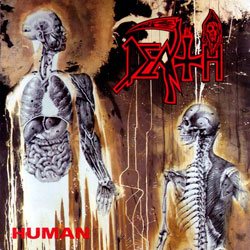 Human