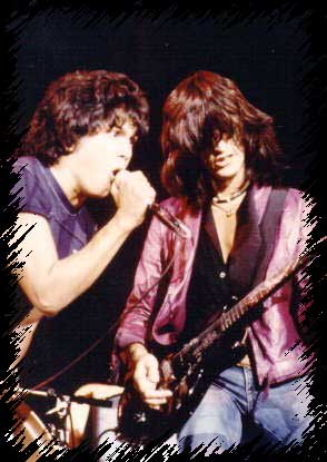 Joe Perry Project