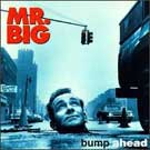 Bump Ahead