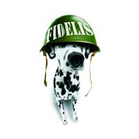 Infidelis