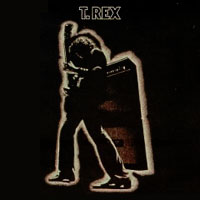 Electric Warrior